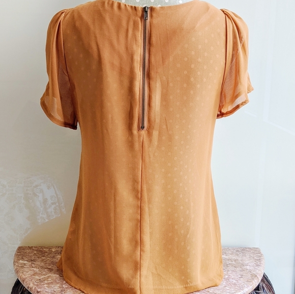 COLLECTION COSTA BLANCA Sheer Asymmetrical Bow Top - Picture 3 of 9